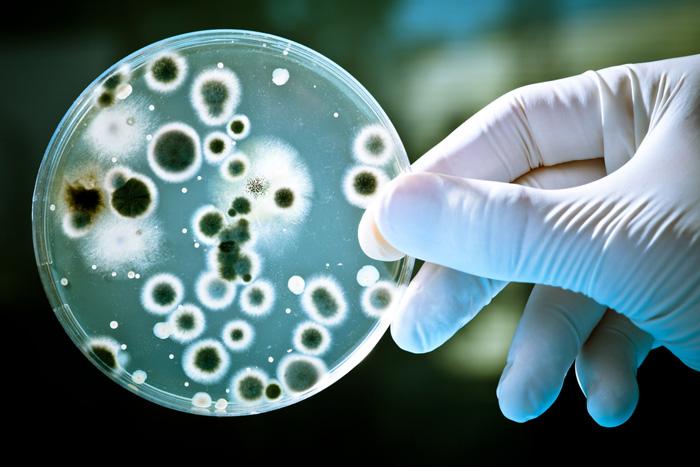 Más cerca del Apocalipsis: las enfermedades inmunes a los antibióticos pueden terminar con la especie humana-0