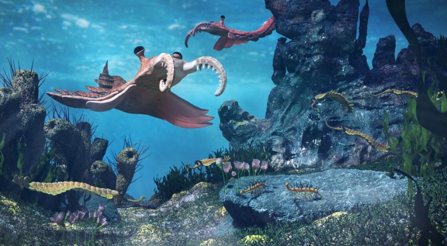Descubren los fósiles de un “mundo marino en miniatura” con especies desconocidas  