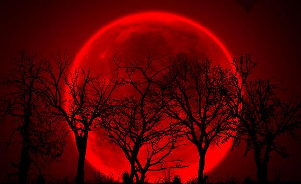 Transmisión en vivo: Gigantesca Luna roja durante el eclipse de la madrugada de este miércoles-0