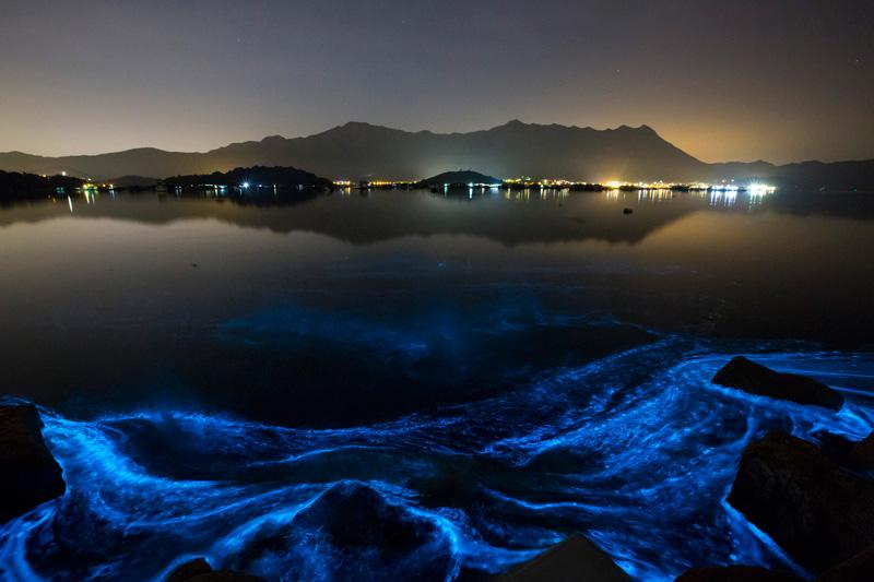 Video: 'Fantasma de Mar' genera belleza y muerte en las aguas de Hong Kong-0