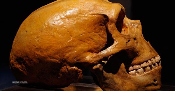 El primer humano apareció 100 mil años antes de lo que se creía-0