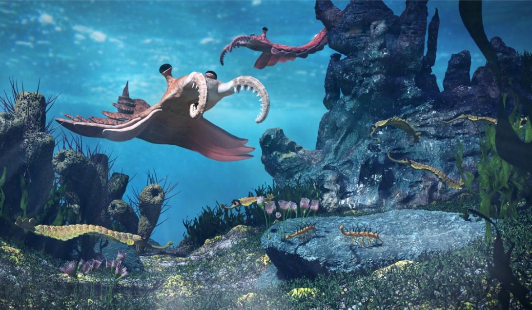 Descubren los fósiles de un “mundo marino en miniatura” con especies desconocidas  -0